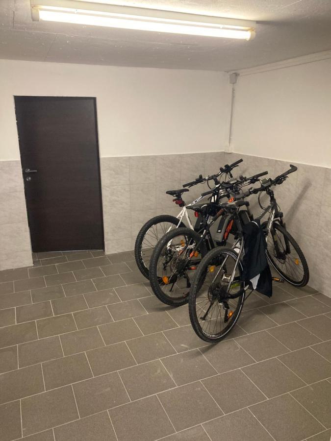Pension Sunnseitn - Gasthof - Cafe - Weinkeller Haslach an der Mühl Dış mekan fotoğraf