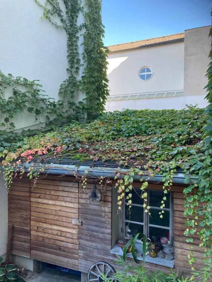 Pension Sunnseitn - Gasthof - Cafe - Weinkeller Haslach an der Mühl Dış mekan fotoğraf