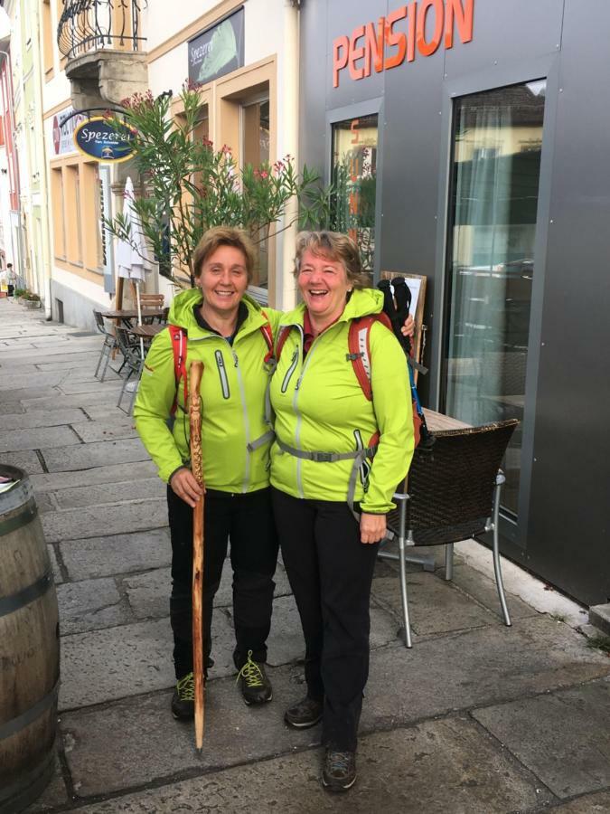Pension Sunnseitn - Gasthof - Cafe - Weinkeller Haslach an der Mühl Dış mekan fotoğraf